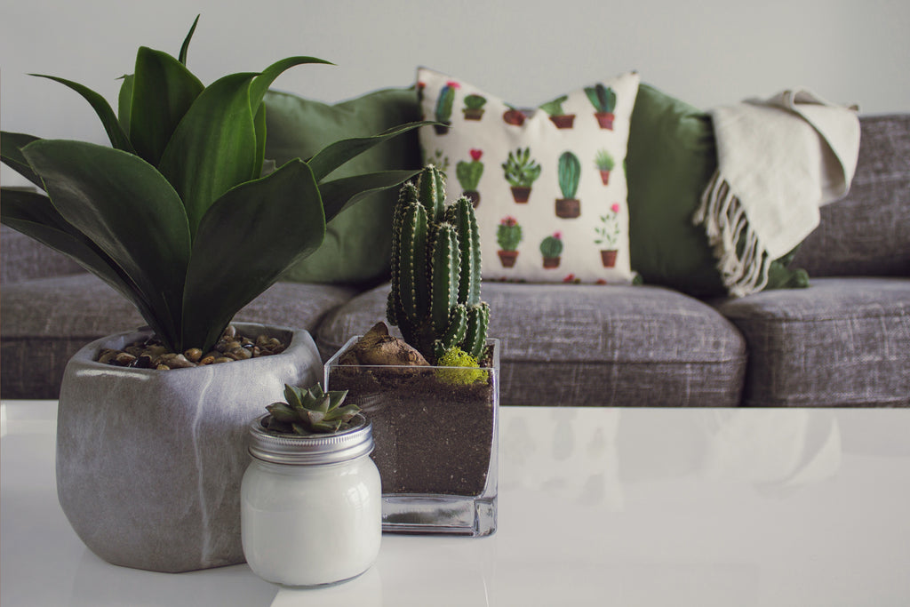 What You Need to Know About Buying Faux Plants