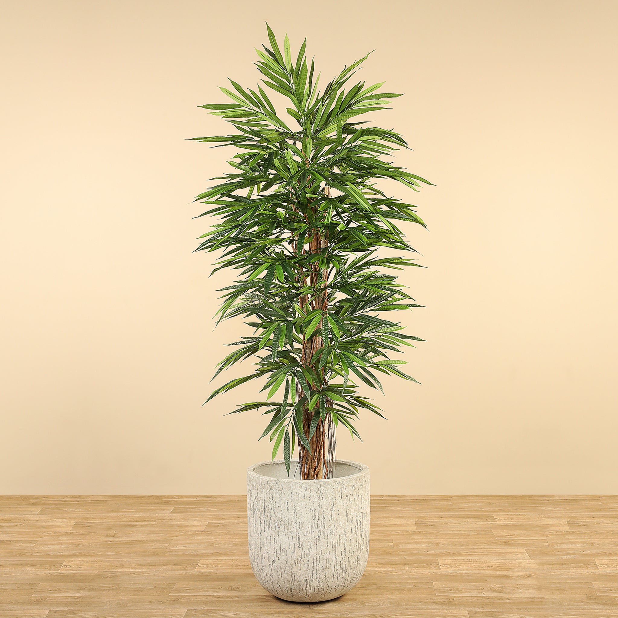 Luxury Artificial Longifolia Trees