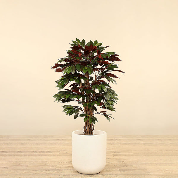 Artificial Capensia fig Tree <br> 120cm - Bloomr