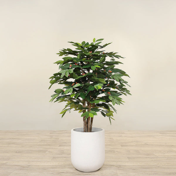 Artificial Coffee Tree <br> 120cm - Bloomr