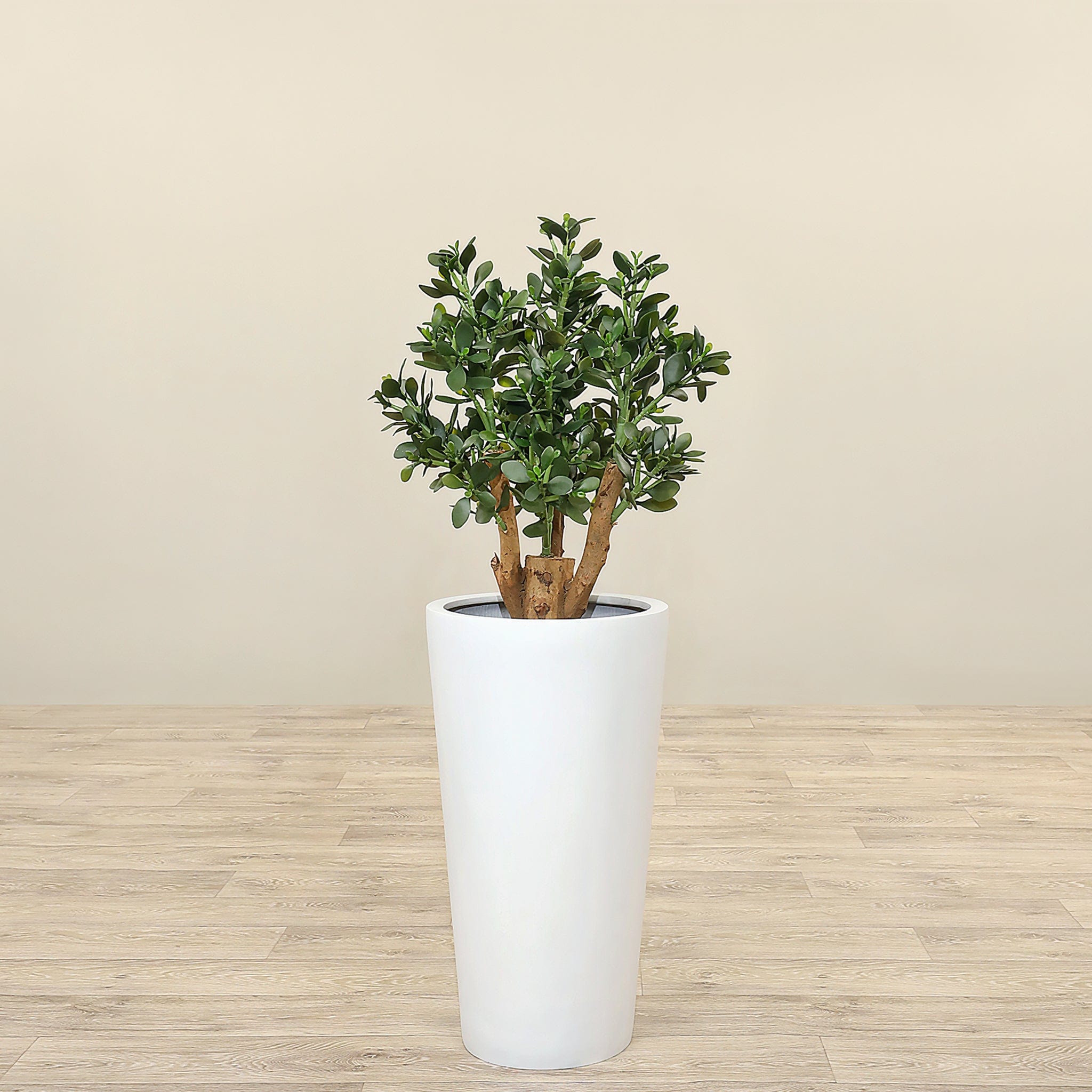 Artificial Jada Plant<br> 70cm - Bloomr