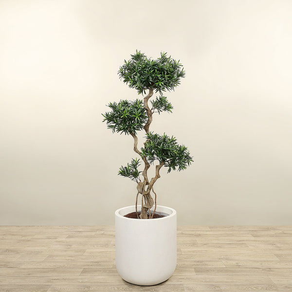 Artificial Podocarpus Tree <br> 150cm - Bloomr
