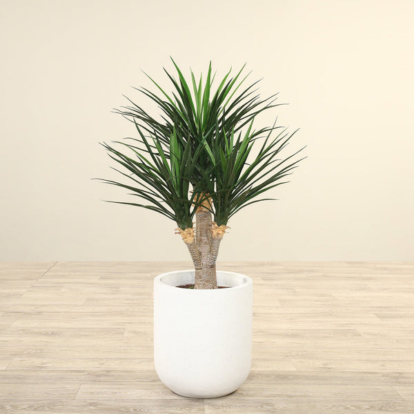 Artificial Yucca Plant<br> 100cm - Bloomr