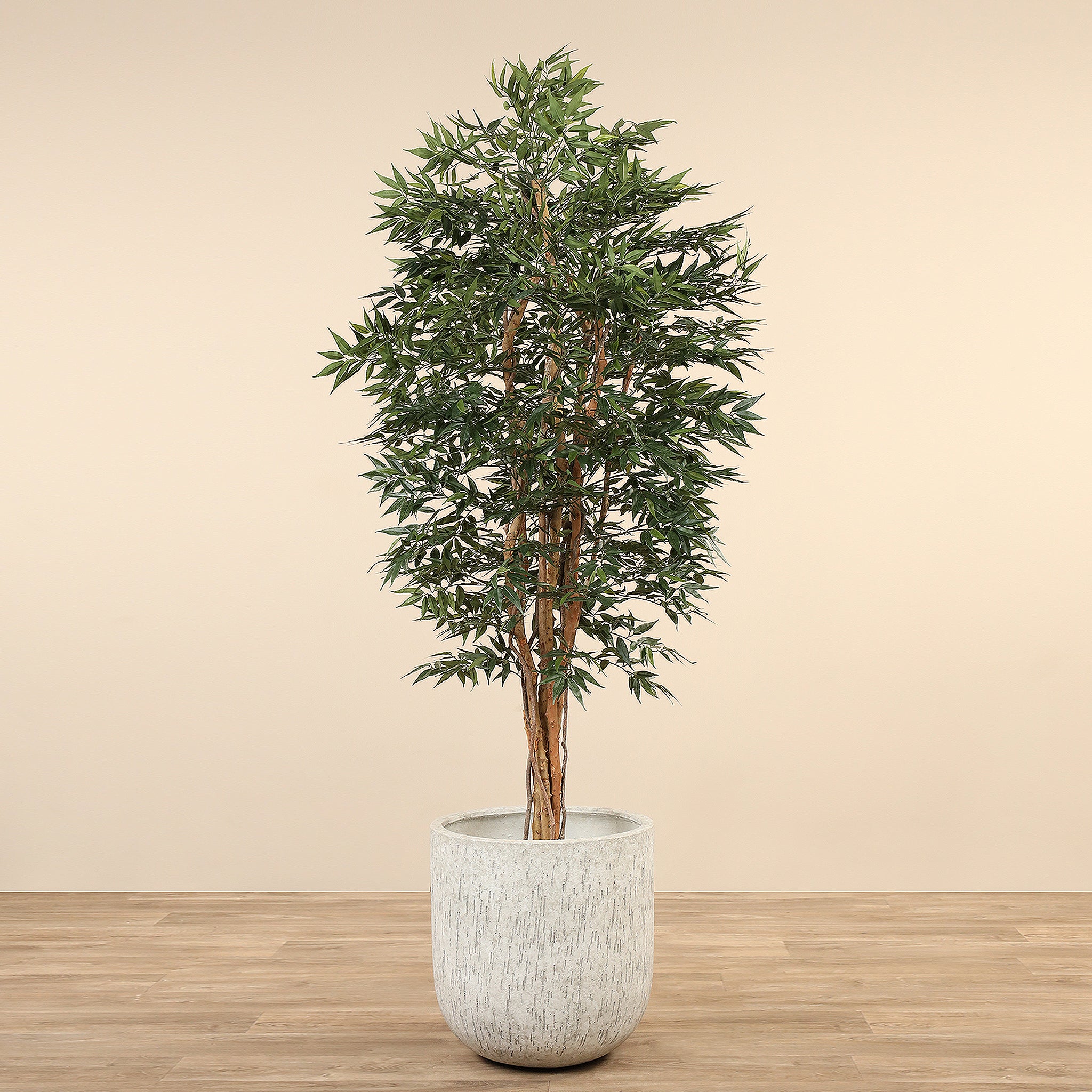 Artificial Shirakashi Tree <br>210cm - Bloomr
