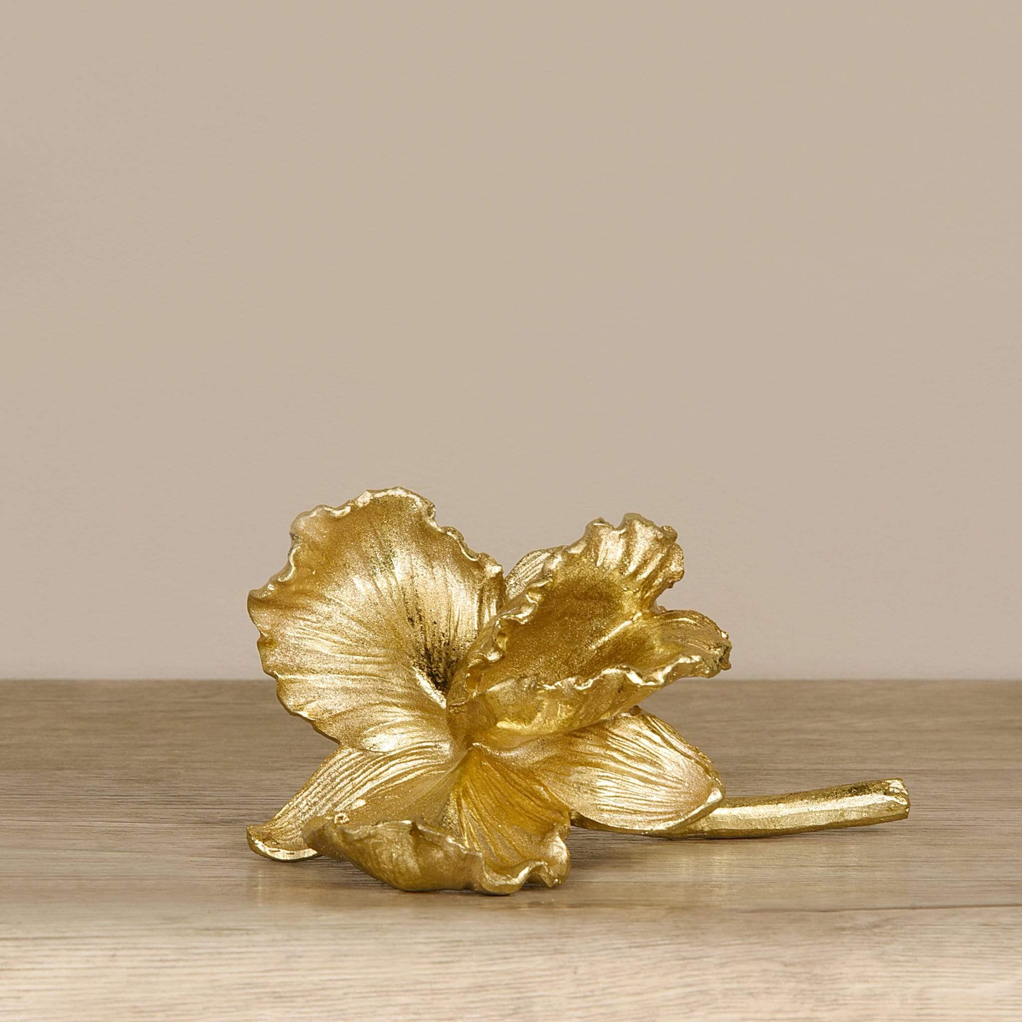 Golden Orchid - Bloomr