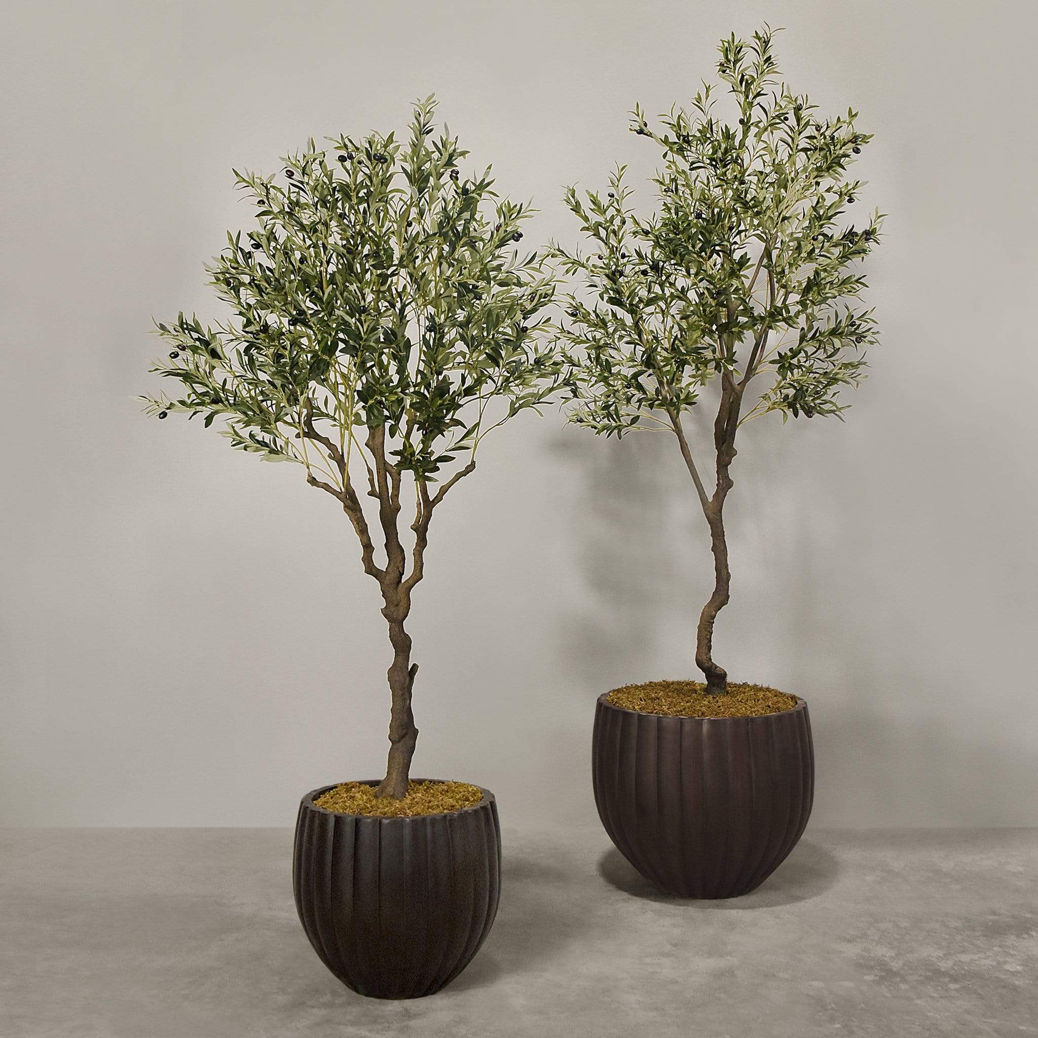Artificial Olive Tree With Pot - Bloomr