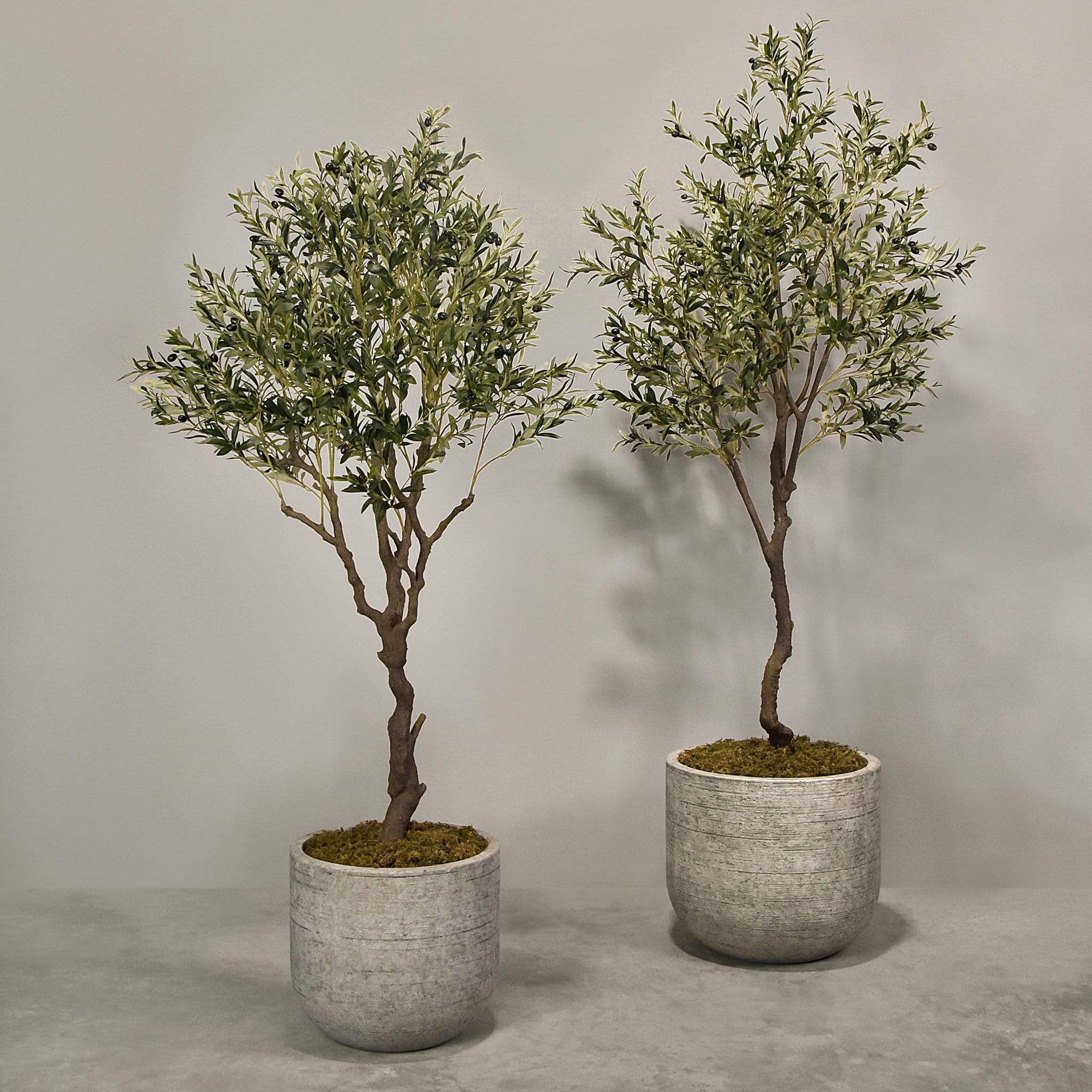 Artificial Olive Tree With Pot - Bloomr