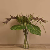 Heliconia & Canna Leaf in Glass Vase - Bloomr