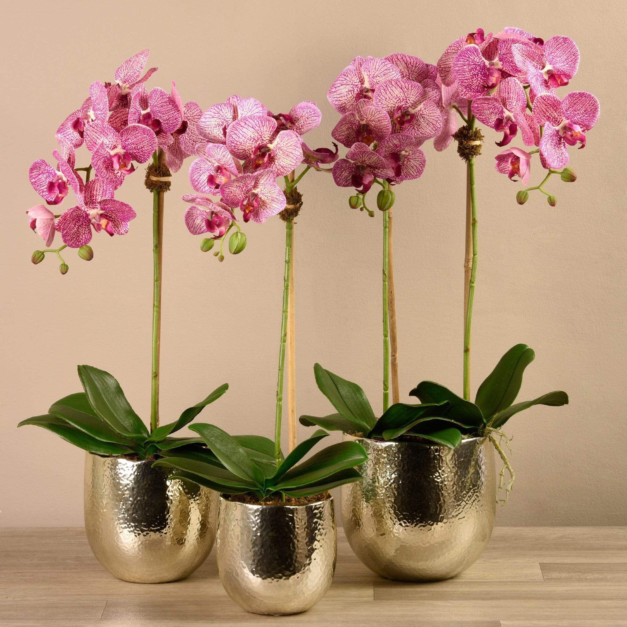 Jewel Artificial Orchid Arrangement - Bloomr