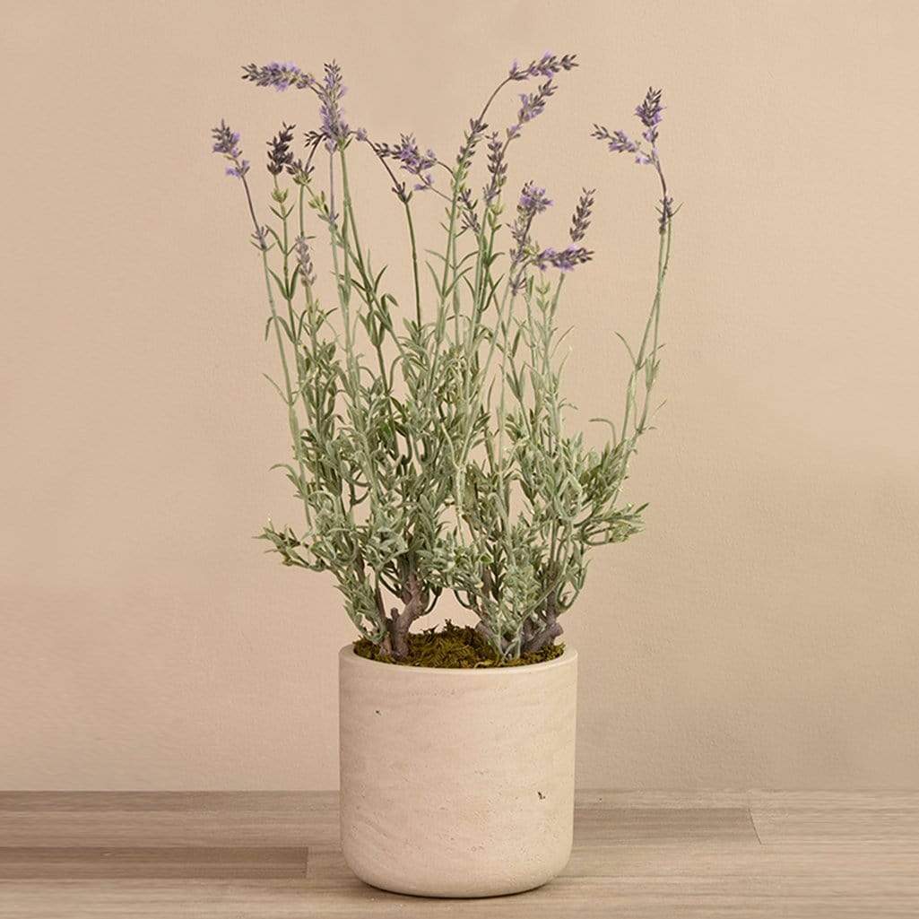 Artificial Potted Lavender - Bloomr