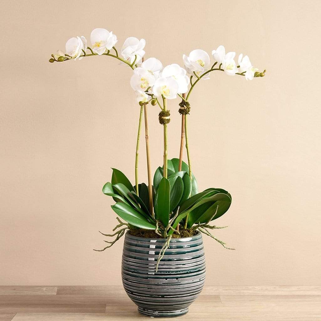 Coastal Artificial Orchid Arrangement - Bloomr