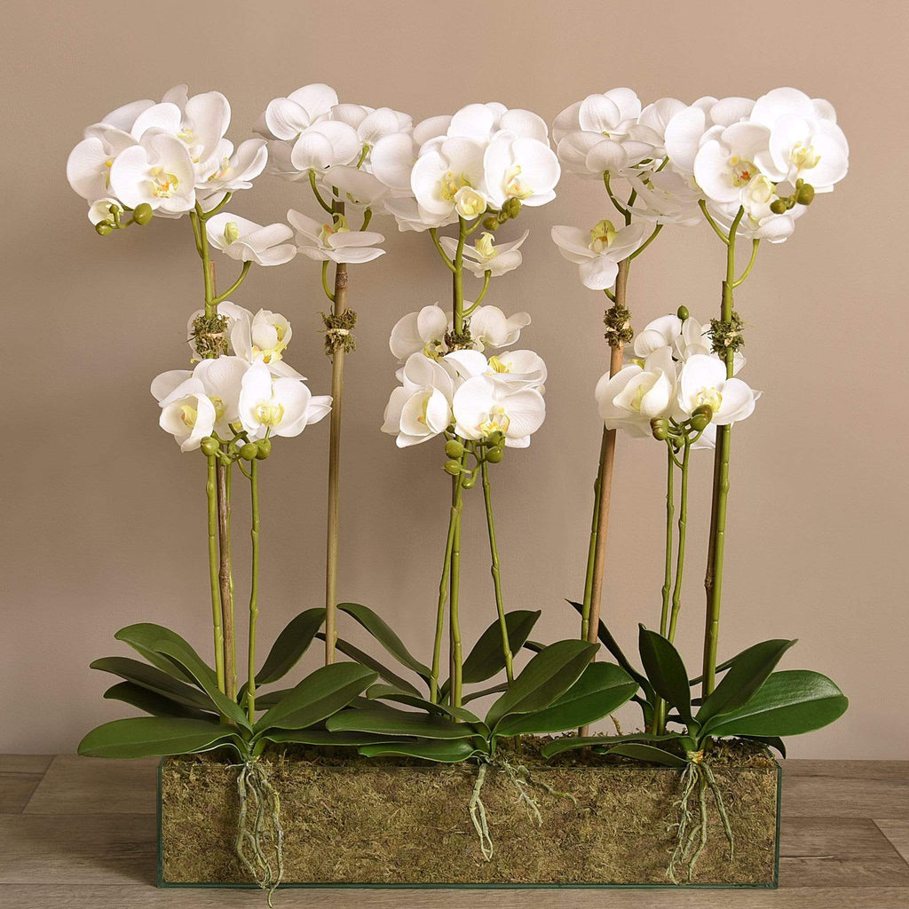 Artificial Orchid Arrangement in Glass Vase - Bloomr