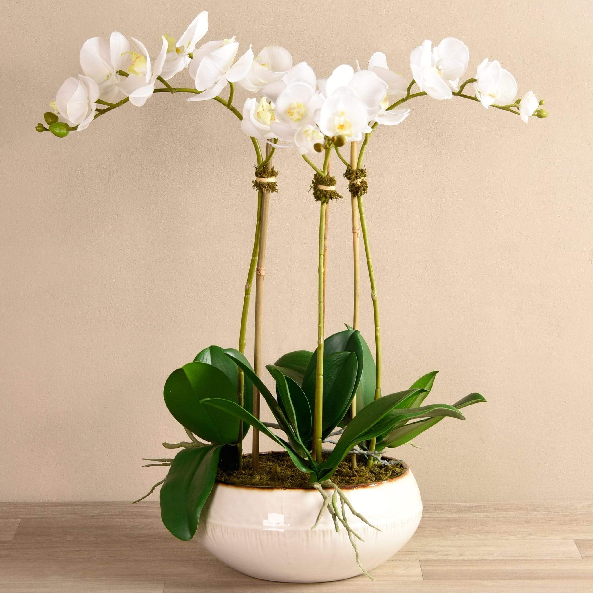 Greenhouse Artificial Orchid Arrangement - Bloomr