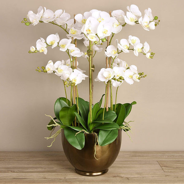 Artificial Orchid Arrangement | Bloomr