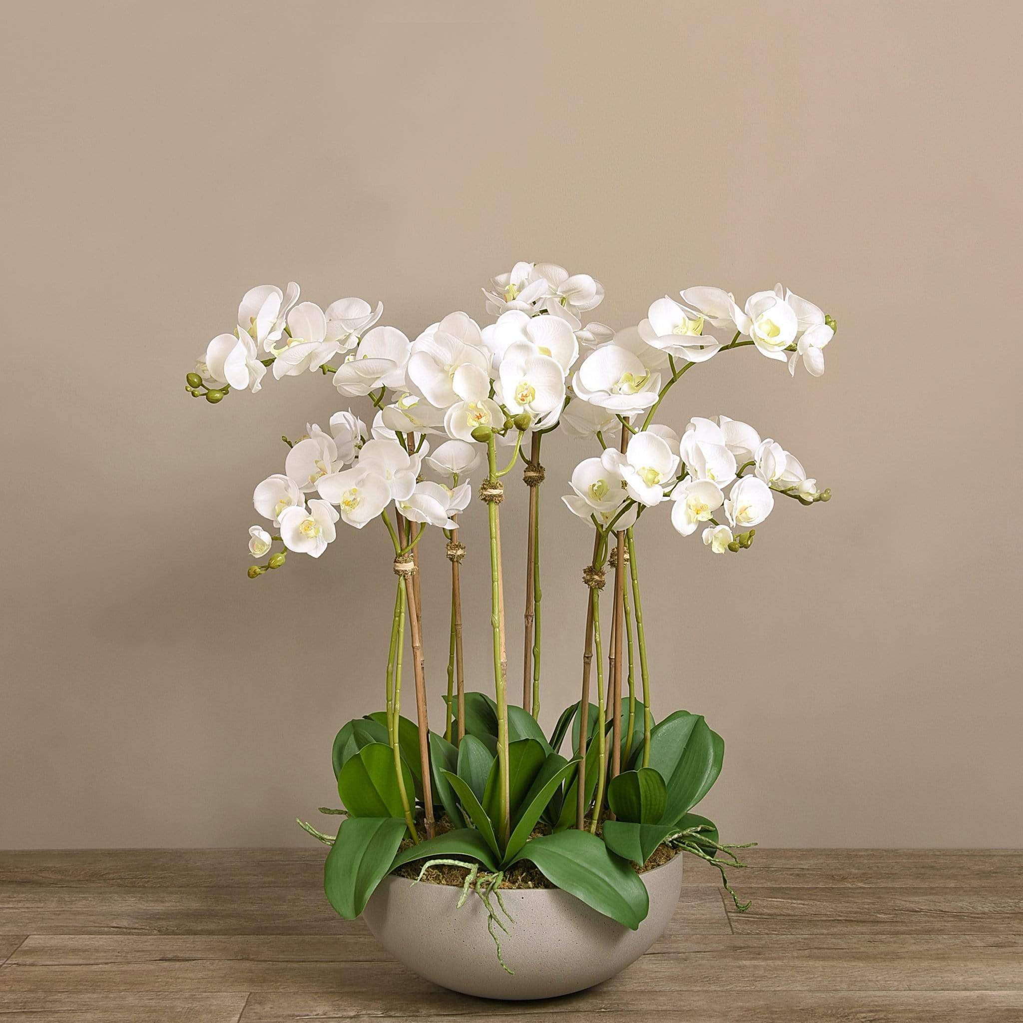 Sleek Artificial Orchid Arrangement - Bloomr
