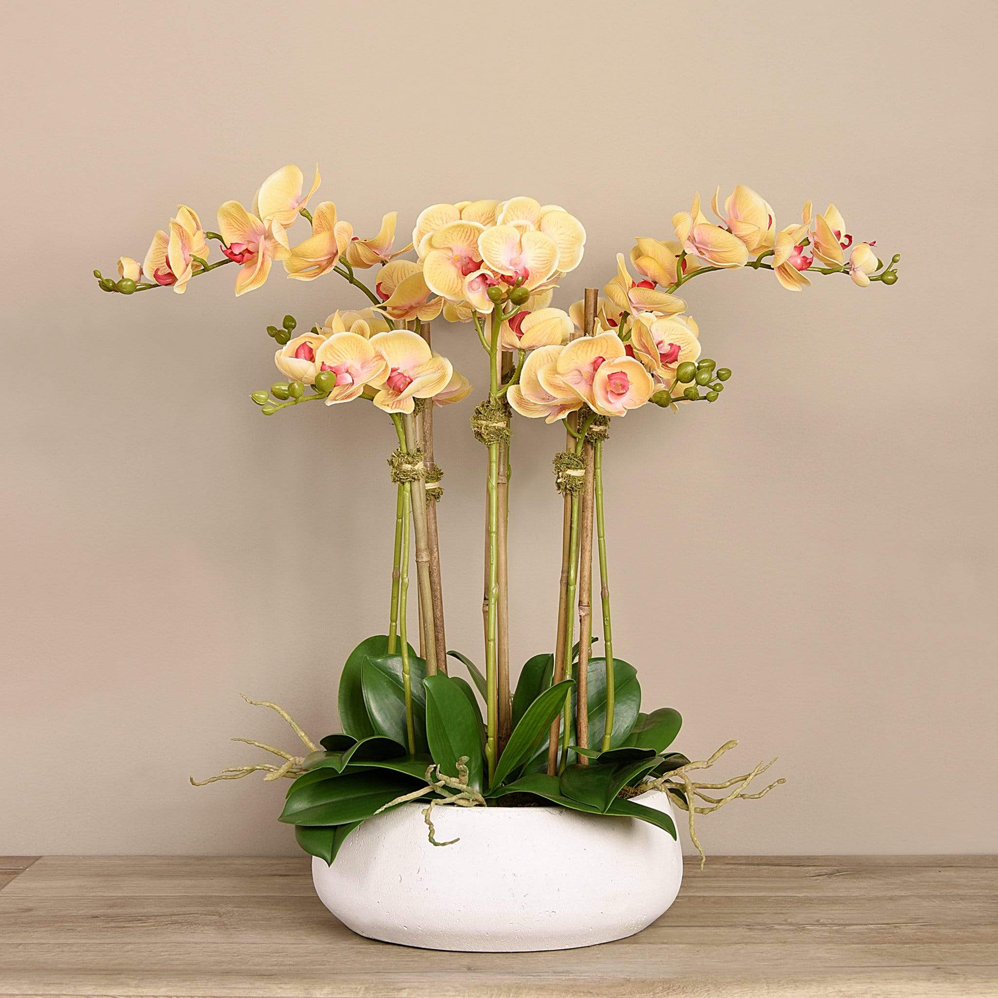 Oasis Artificial Orchids in White Pot - Bloomr