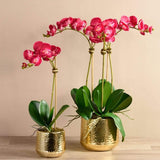 Parisian Artificial Orchid Arrangement - Bloomr