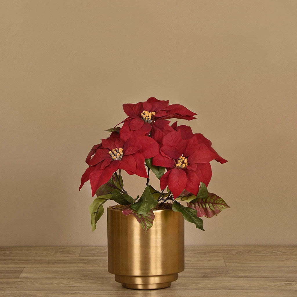 Poinsettia Arrangement in Metal Vase - Bloomr