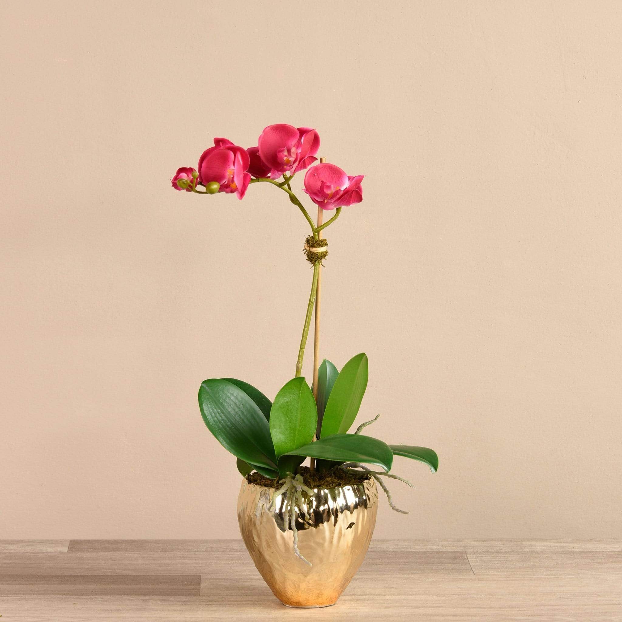 Orchid Arrangement in Gold Vase - Bloomr