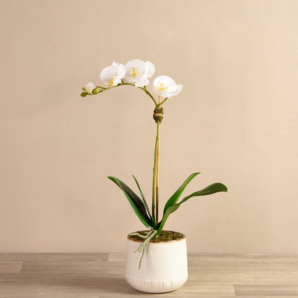 Bistro Artificial Orchid Arrangement - Bloomr