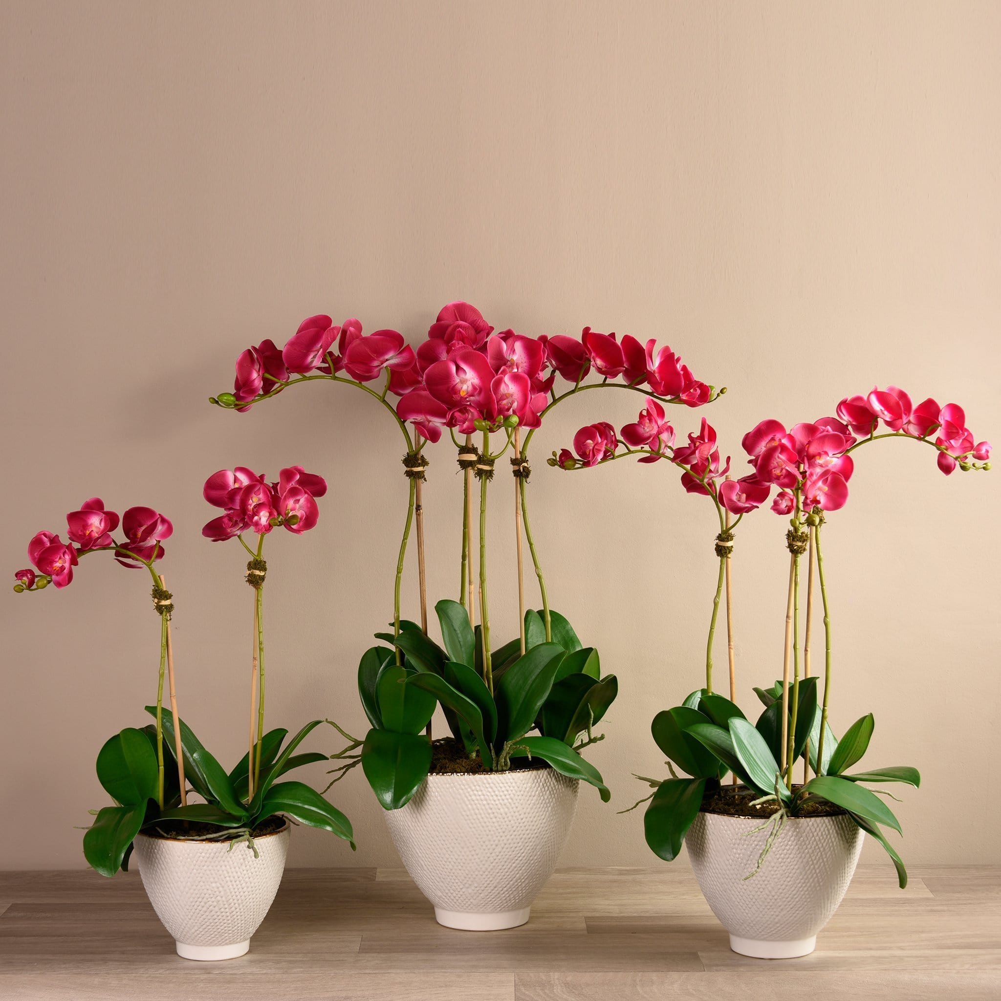 Rustic Orchid Arrangement - Bloomr