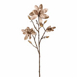 Velvet Magnolia - Bloomr