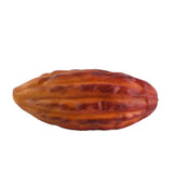 Cacao Fruit - Bloomr