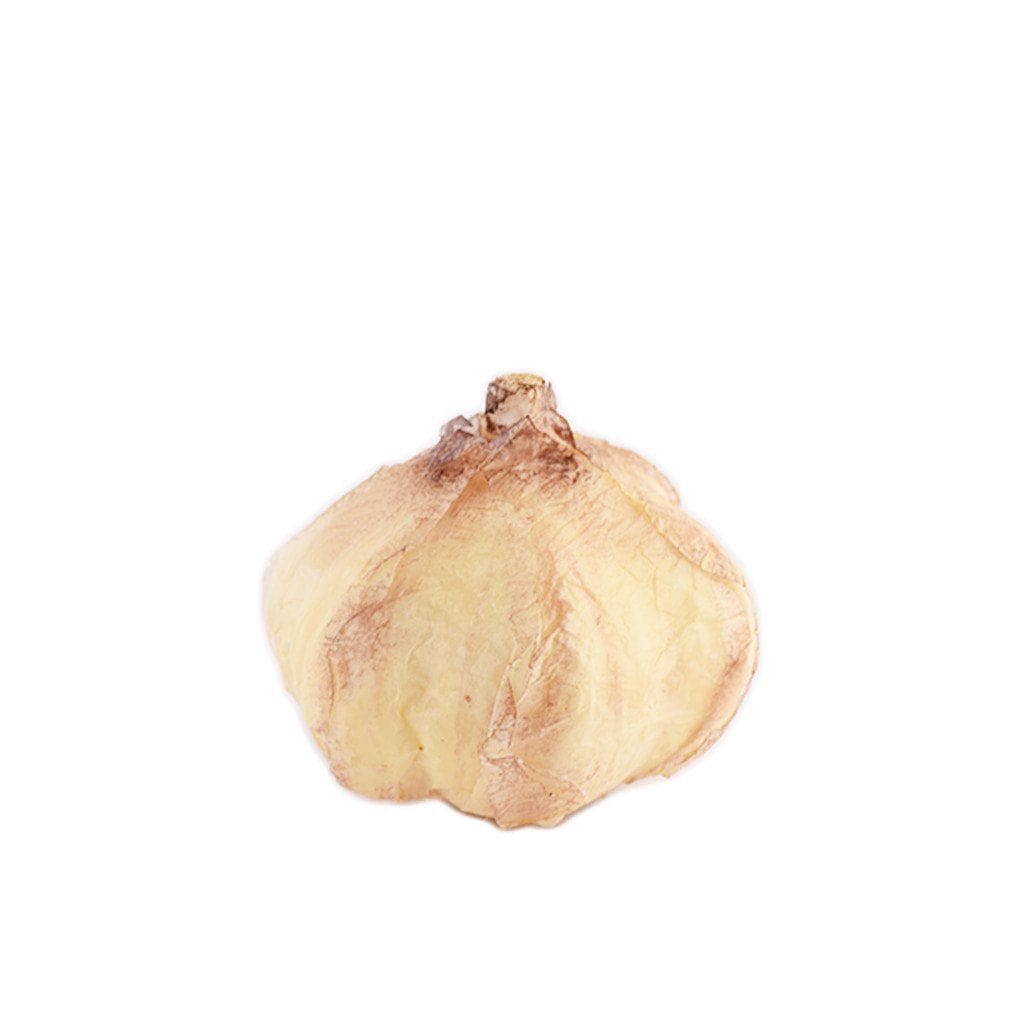 Garlic - Bloomr