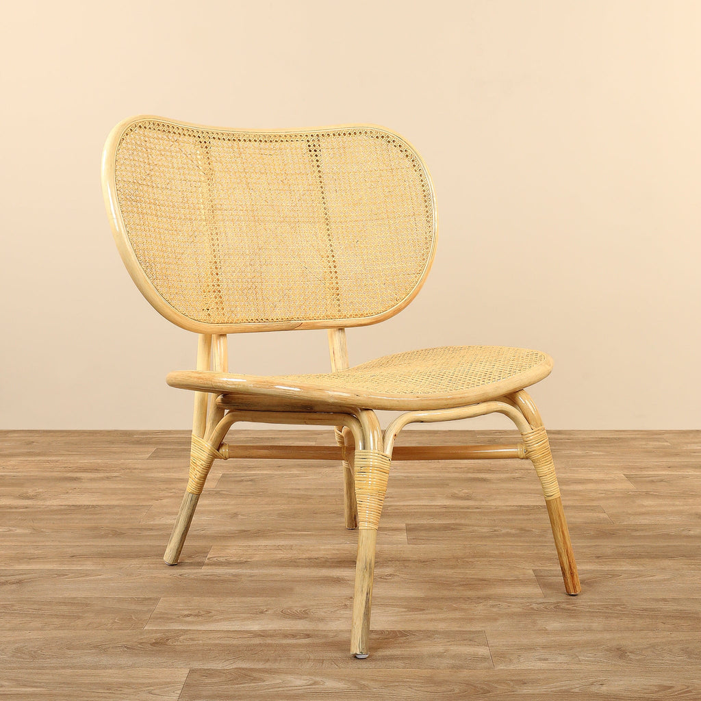 Viggo <br>  Armchair Lounge Chair - Bloomr