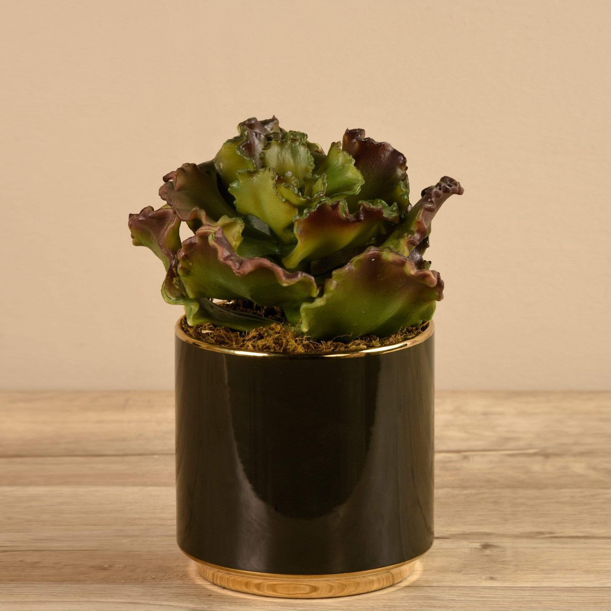 Artificial Potted Succulent - Bloomr
