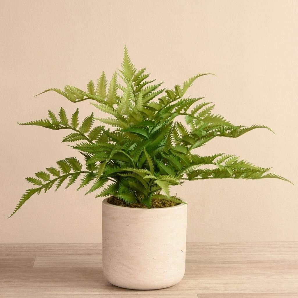Artificial Potted Fern - Bloomr