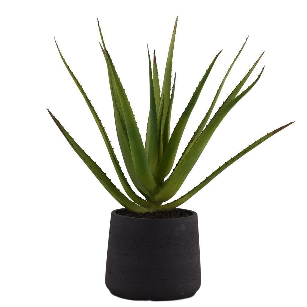Artificial Aloe - Bloomr