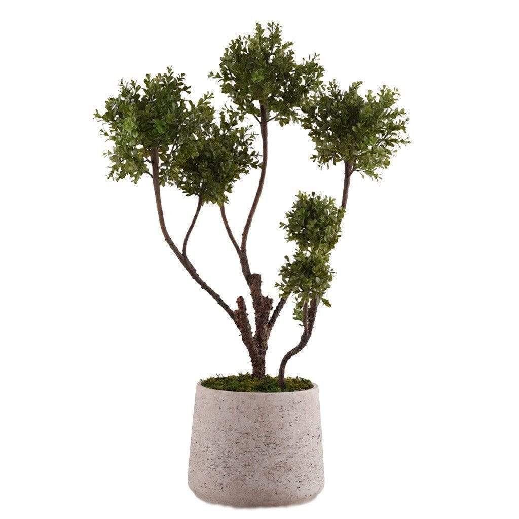 Artificial Potted Boxwood Plant - Bloomr