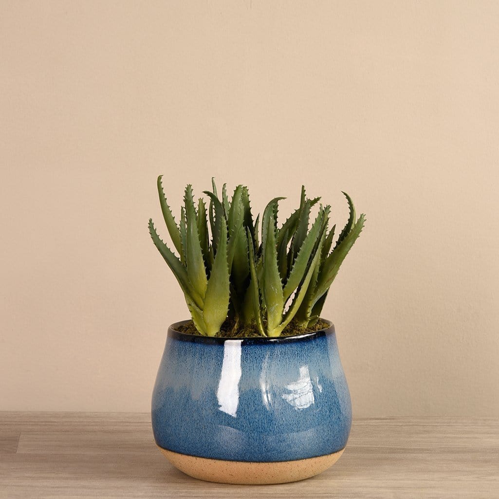 Artificial Santa Fe Aloe Arrangement - Bloomr