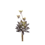Single Stem Flocking Succulent - Bloomr