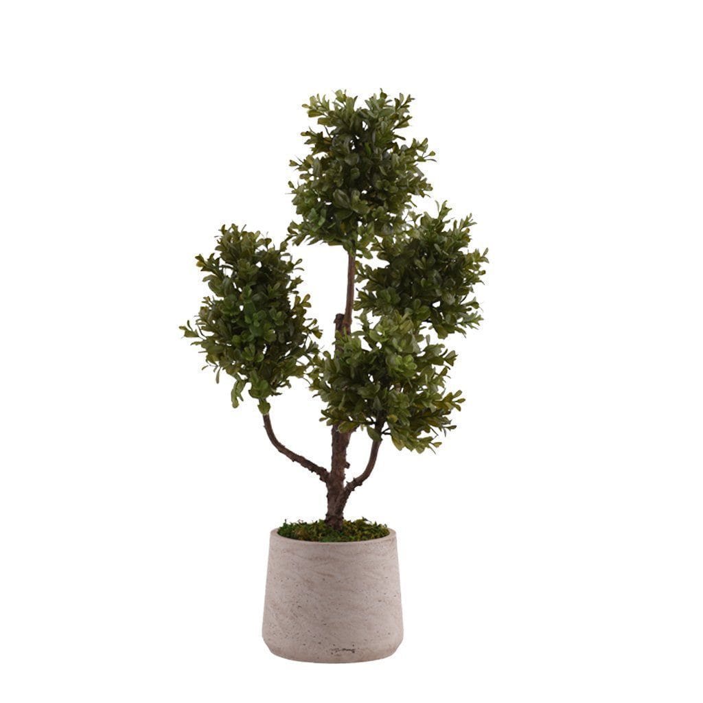 Artificial Potted Boxwood Plant - Bloomr