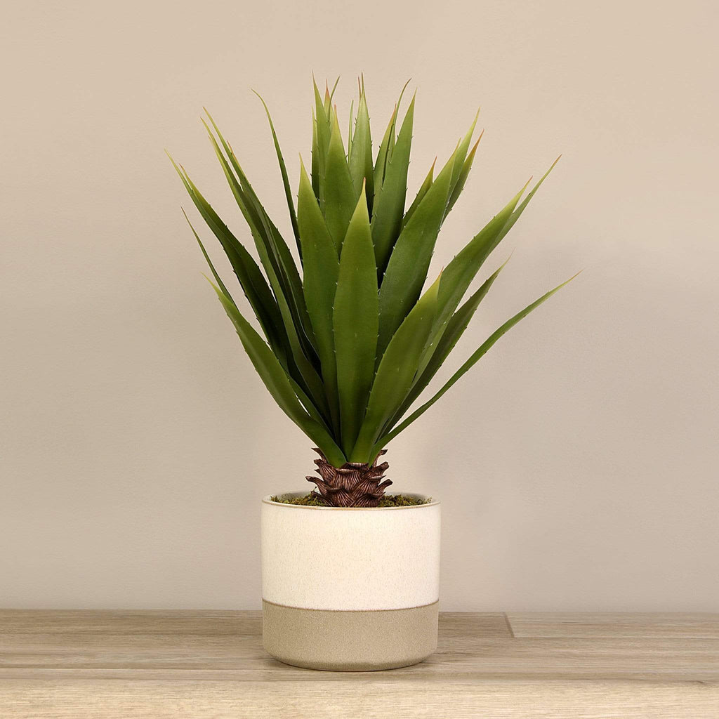 Artificial Potted Agave - Bloomr