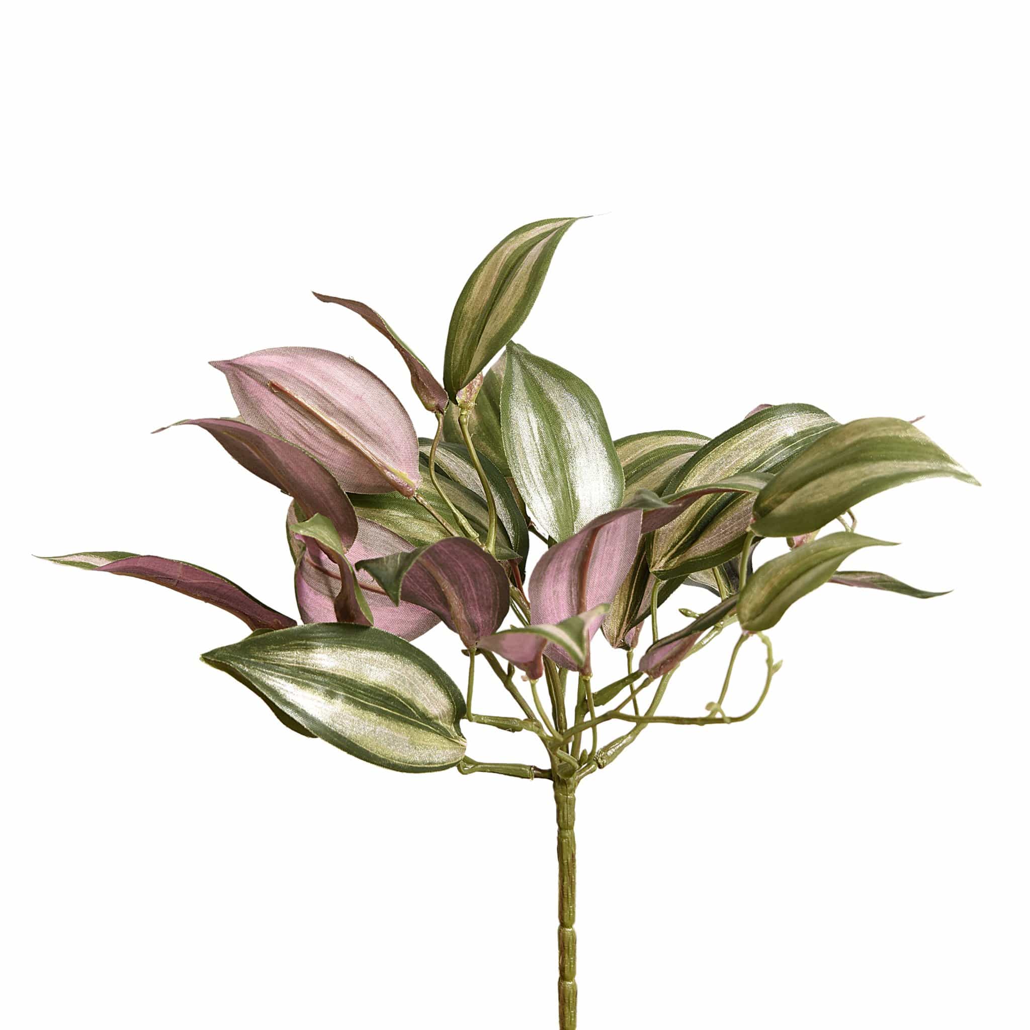 Vanilla Orchid Leaf - Bloomr
