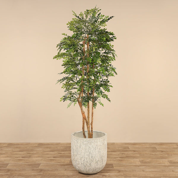 Artificial Acacia Tree - Bloomr