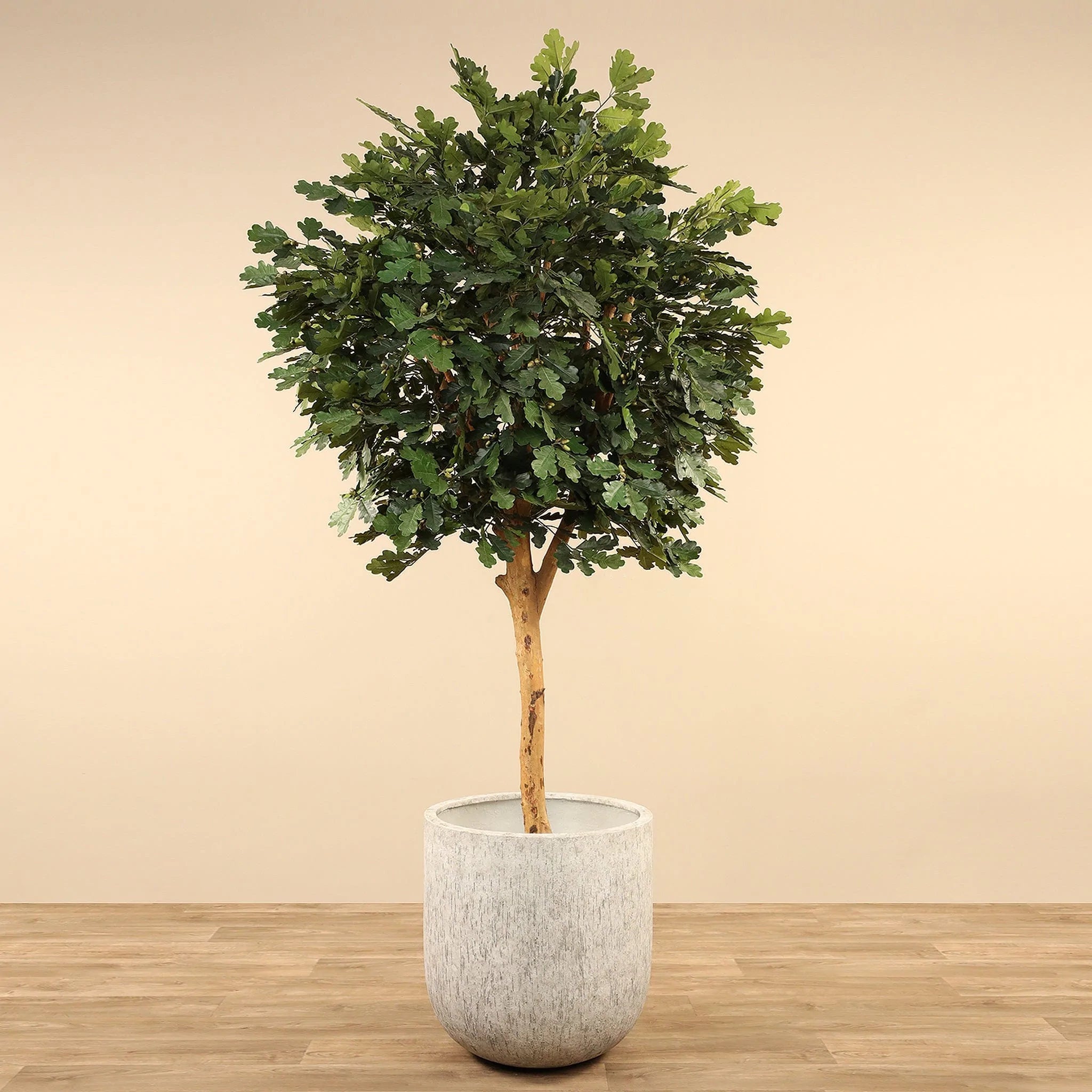 Artificial Oak Tree <br> 240cm - Bloomr
