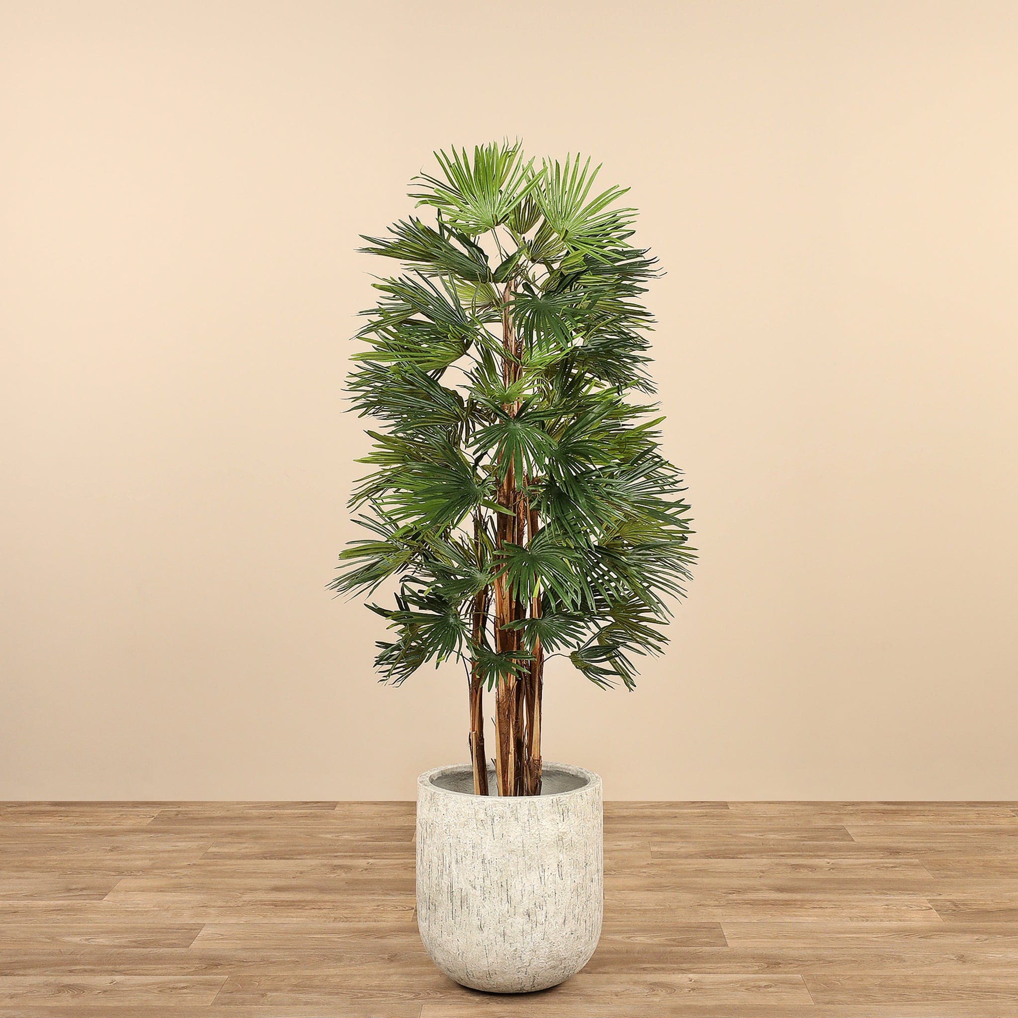 Artificial Raphis Palm - Bloomr