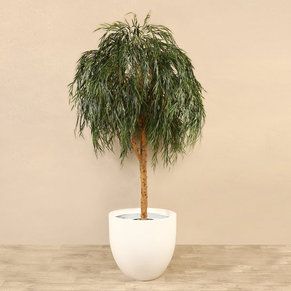 Artificial Willow Tree <br> 240cm - Bloomr