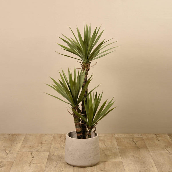 Artificial Yucca Plant - Bloomr