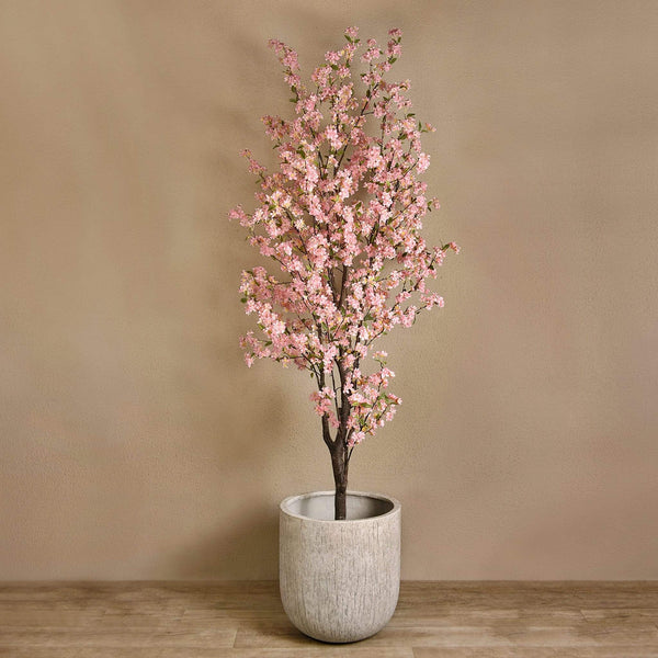 Cherry Blossom Tree - Bloomr